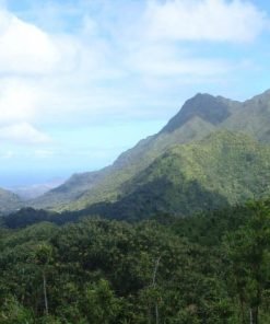 pearl harbor oahu circle island tour