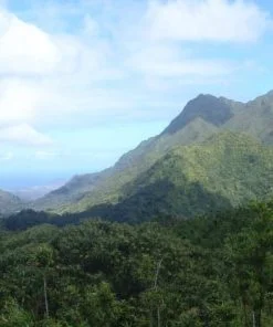 pearl harbor oahu circle island tour
