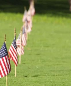 Hawaii vacation experience