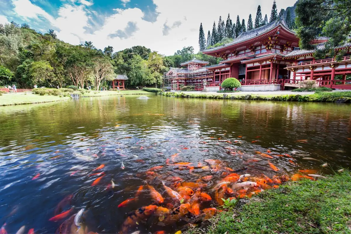 Byodo In Temple