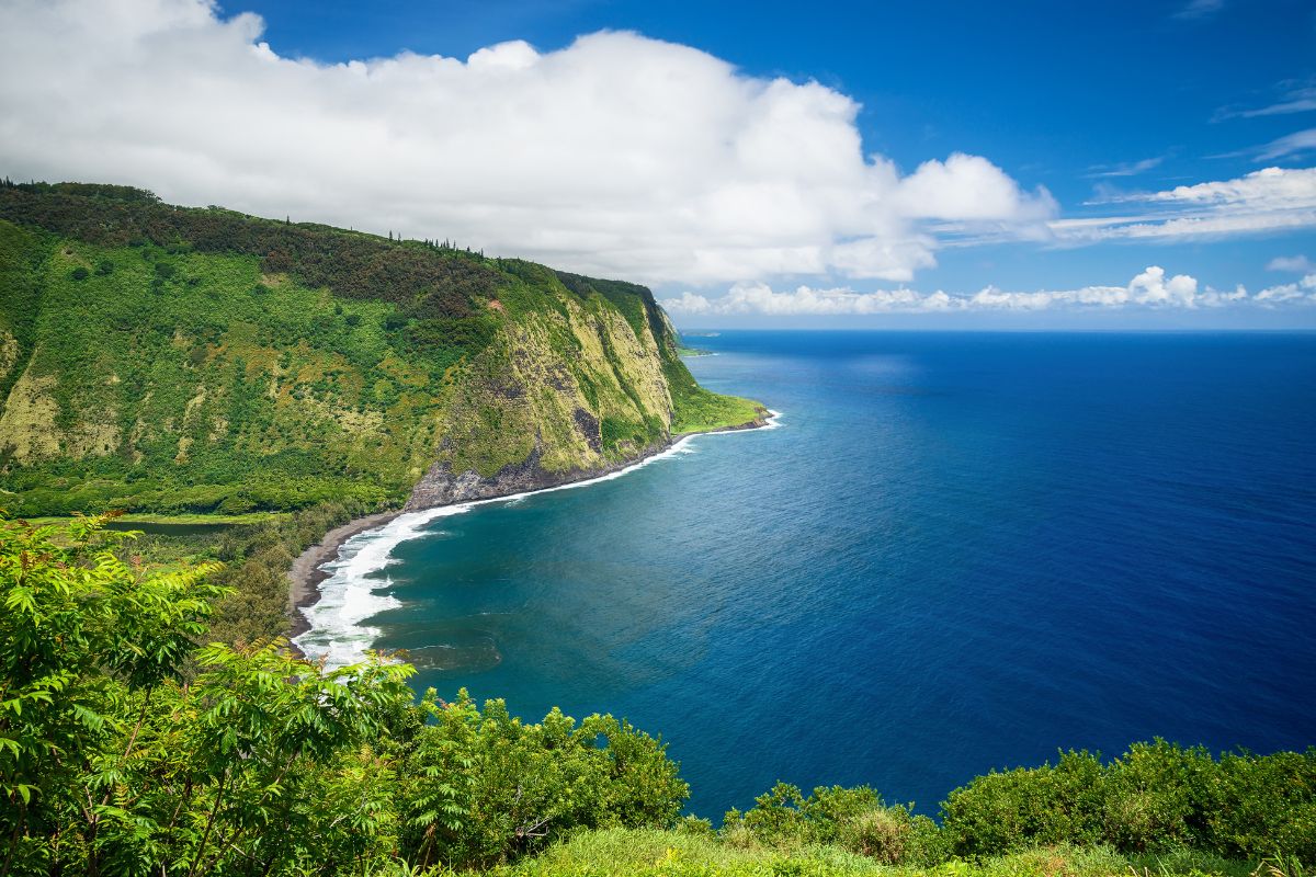 Volcanic landscape view of a Big Island Tour